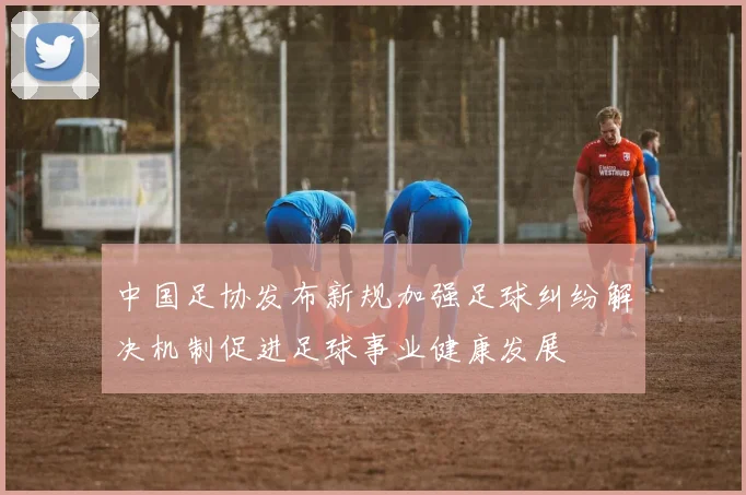 中国足协发布新规加强足球纠纷解决机制促进足球事业健康发展